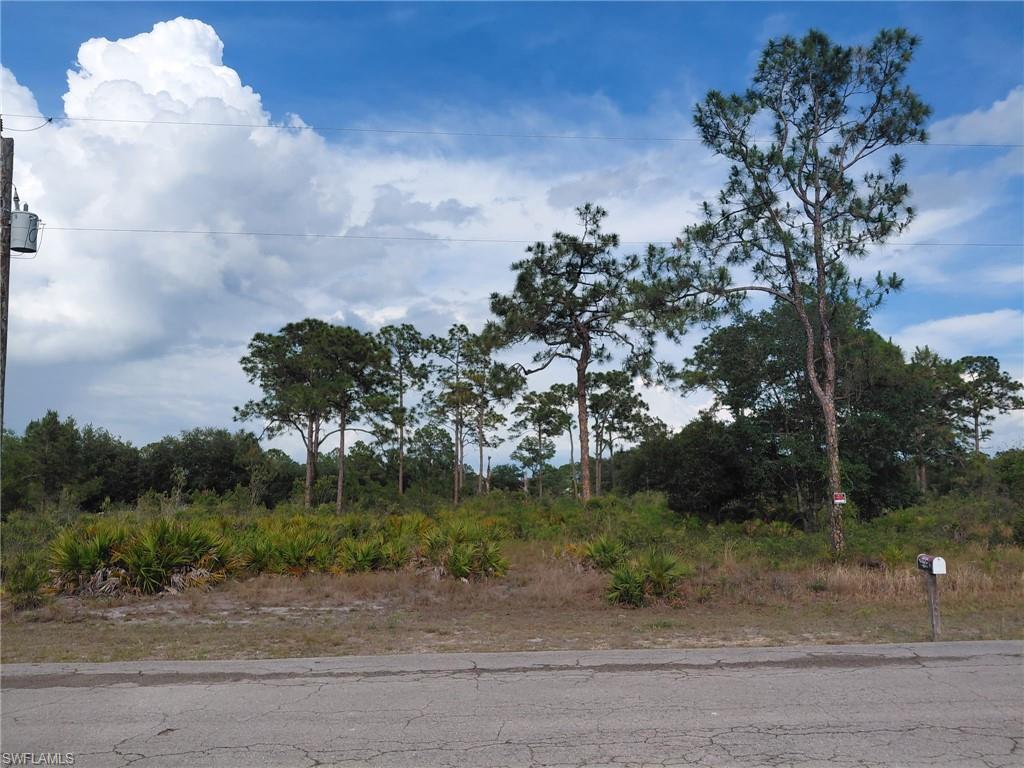 Expansive undeveloped lot featuring mature pine trees and natural vegetation