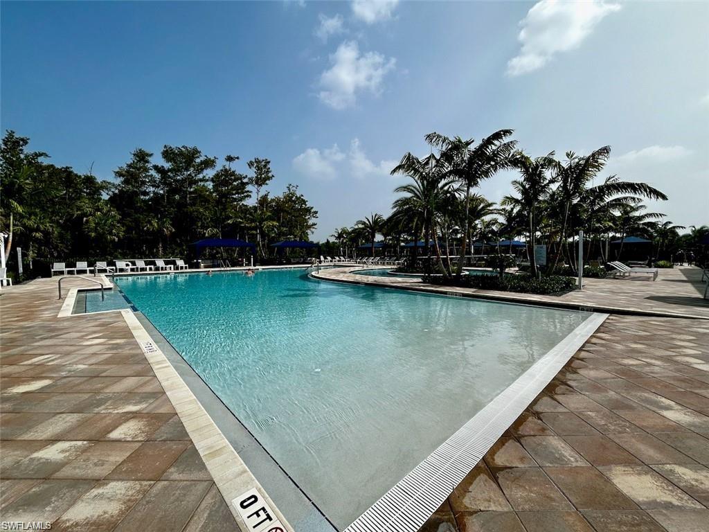 Expansive resort-style swimming pool featuring a zero-entry section, surrounding paver decking, multiple lounge chairs, and mature palm trees