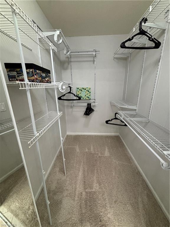 Walk-in closet featuring wire shelving, multiple hanging rods, and neutral-toned carpeting