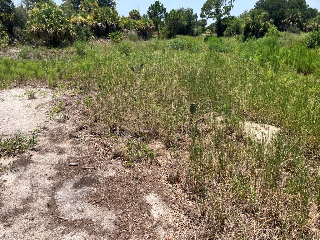 7219 Freeberg CIR photo 9
