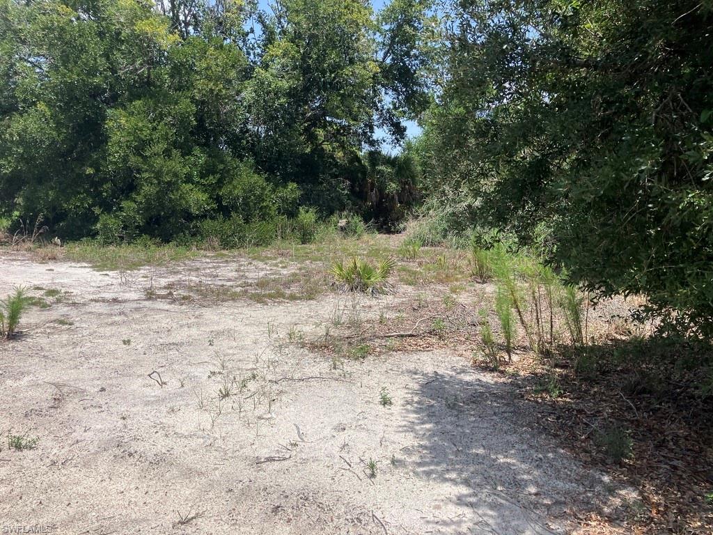 7219 Freeberg CIR photo 8