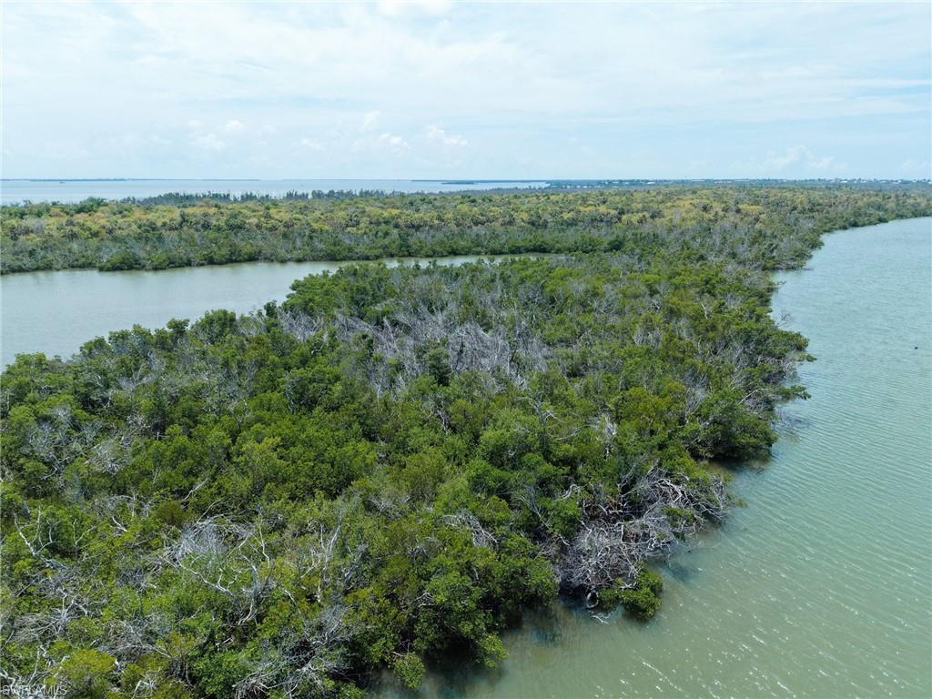 Buck Key
