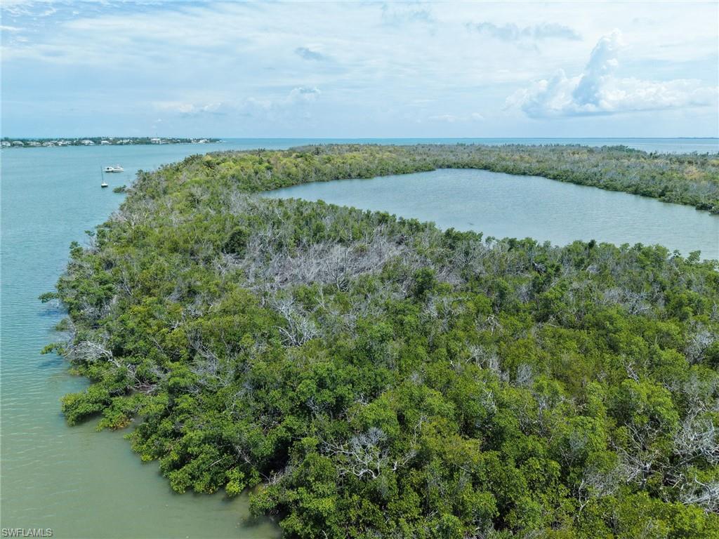 Buck Key