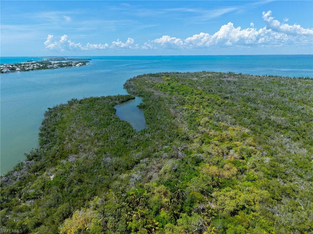 Buck Key
