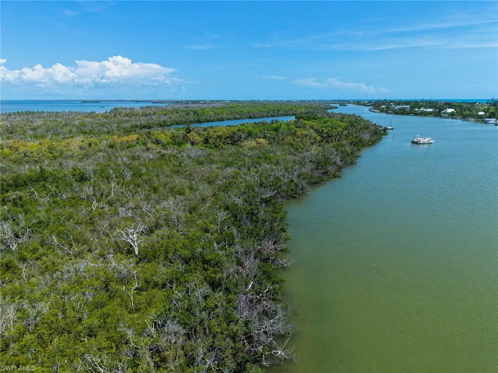 Buck Key