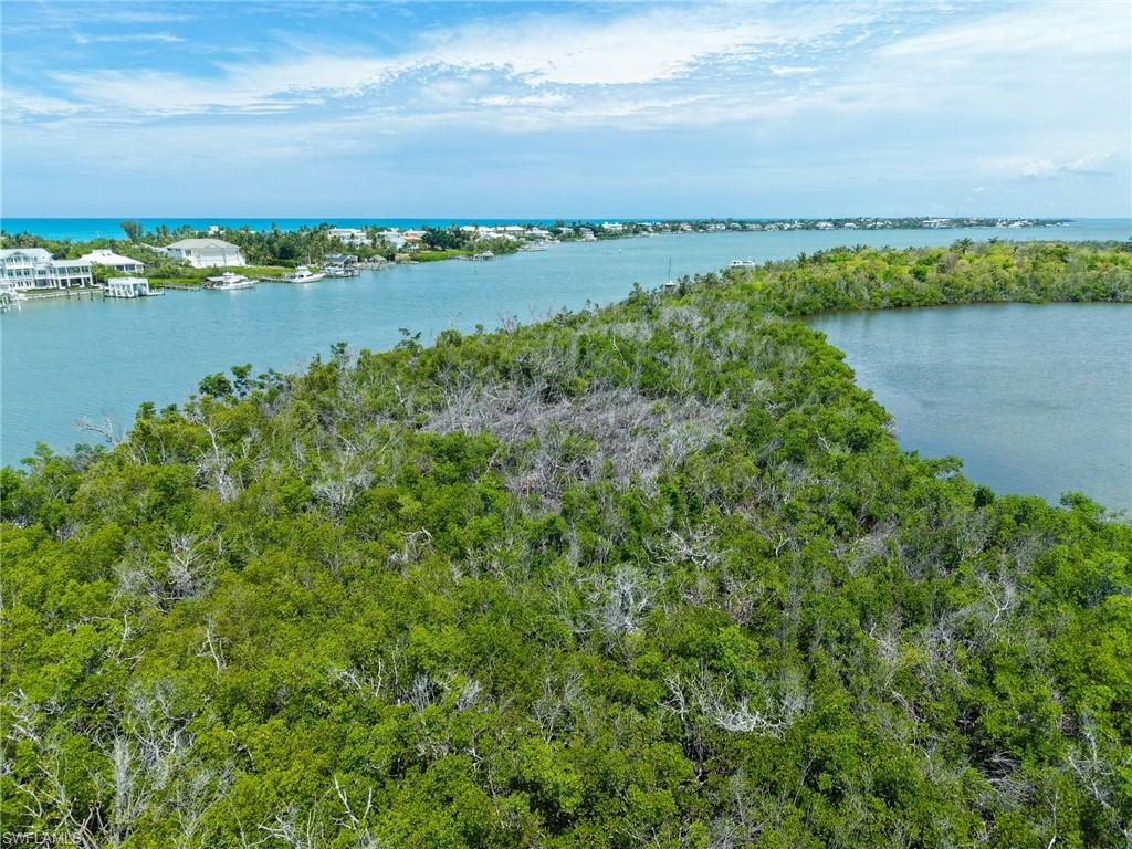 Buck Key