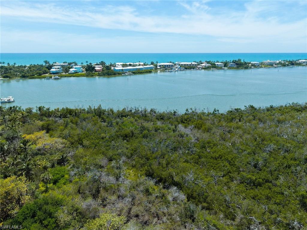 Buck Key