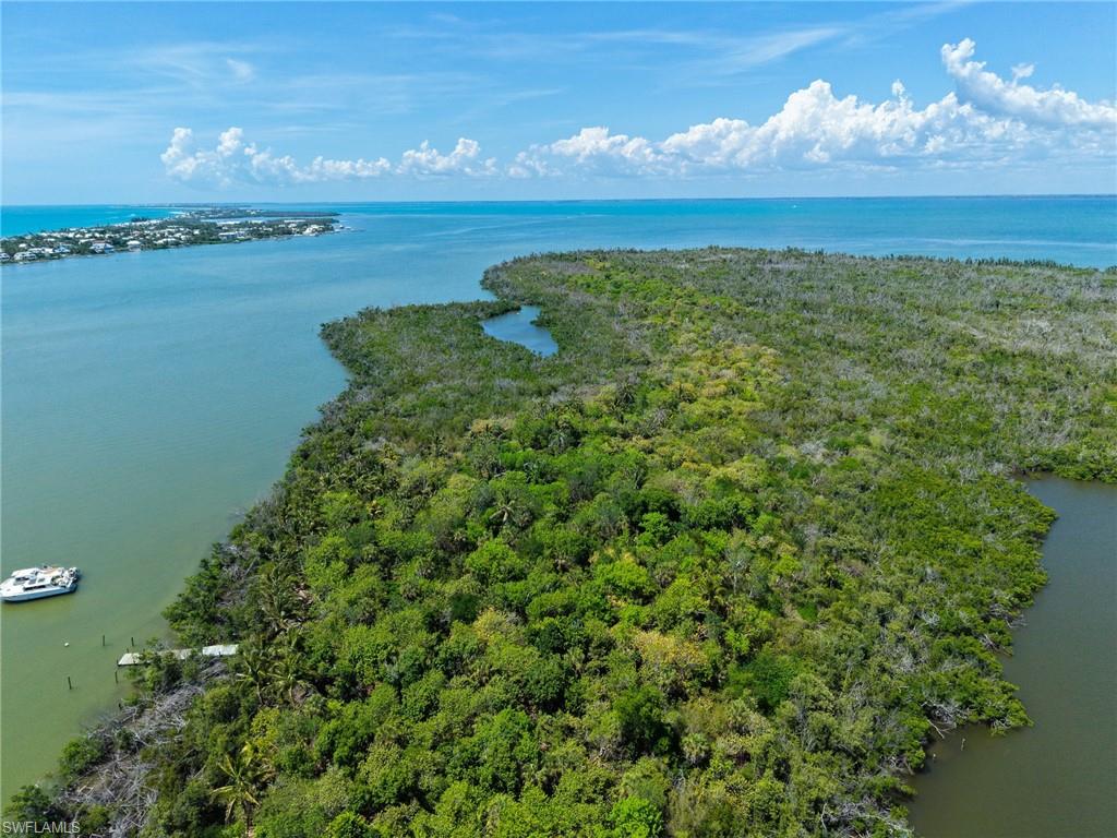 Buck Key