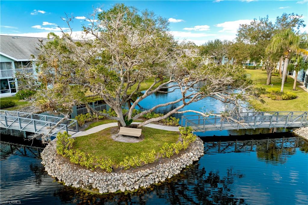 137 Wading Bird CIR F101 photo 16