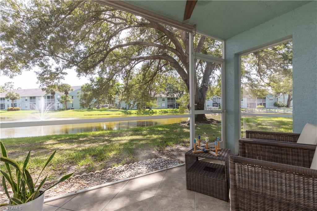 137 Wading Bird CIR F101 photo 12