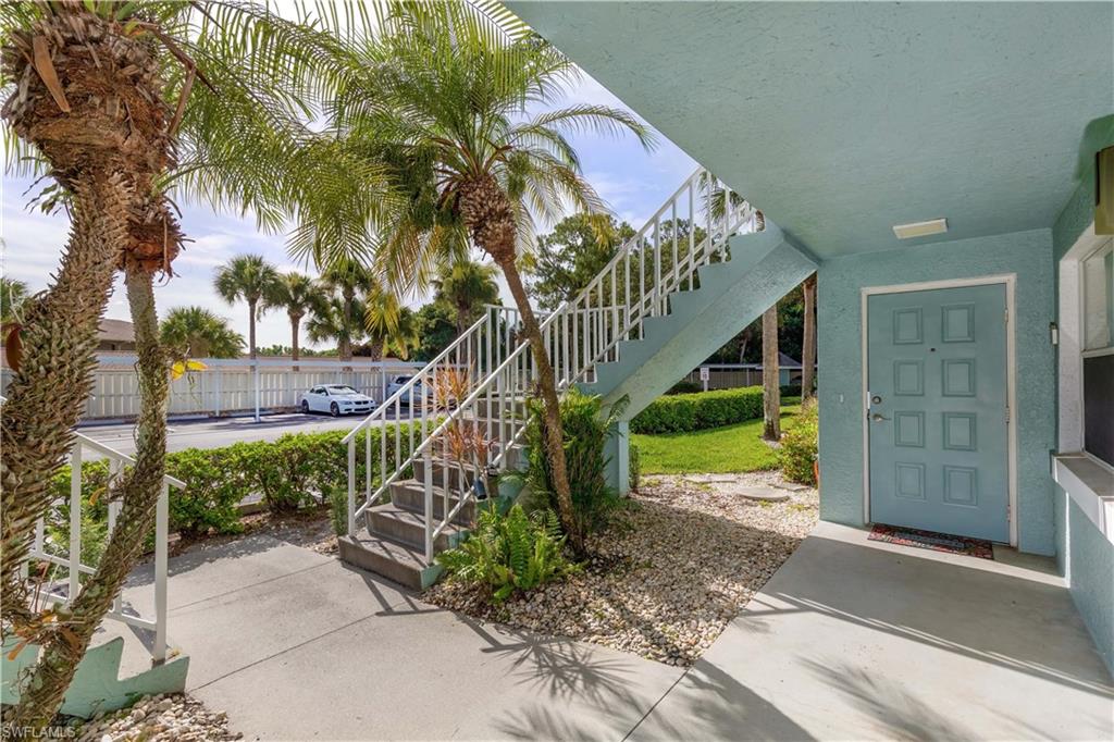 137 Wading Bird CIR F101 photo 15