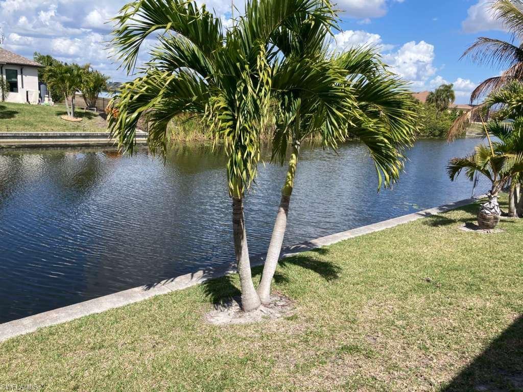 Waterfront property featuring a manicured lawn, concrete seawall, and mature palm trees