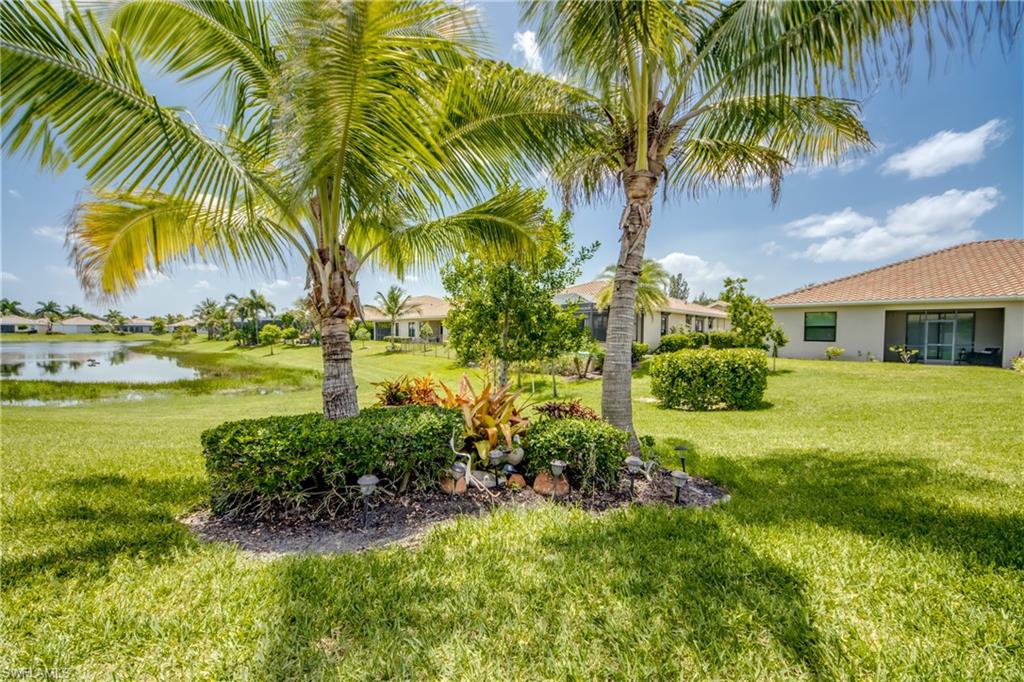 Expansive green lawn featuring mature palm trees and landscaped shrubbery