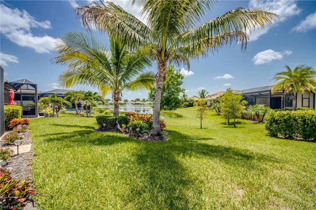 Expansive green lawn with mature palm trees and established landscaping