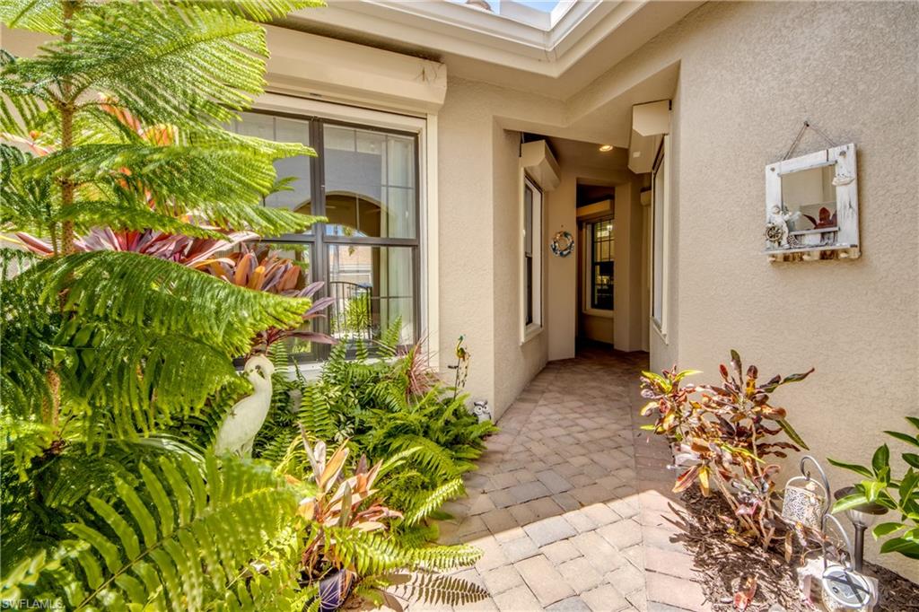 Entryway featuring a paver stone walkway, stucco exterior, and lush tropical landscaping