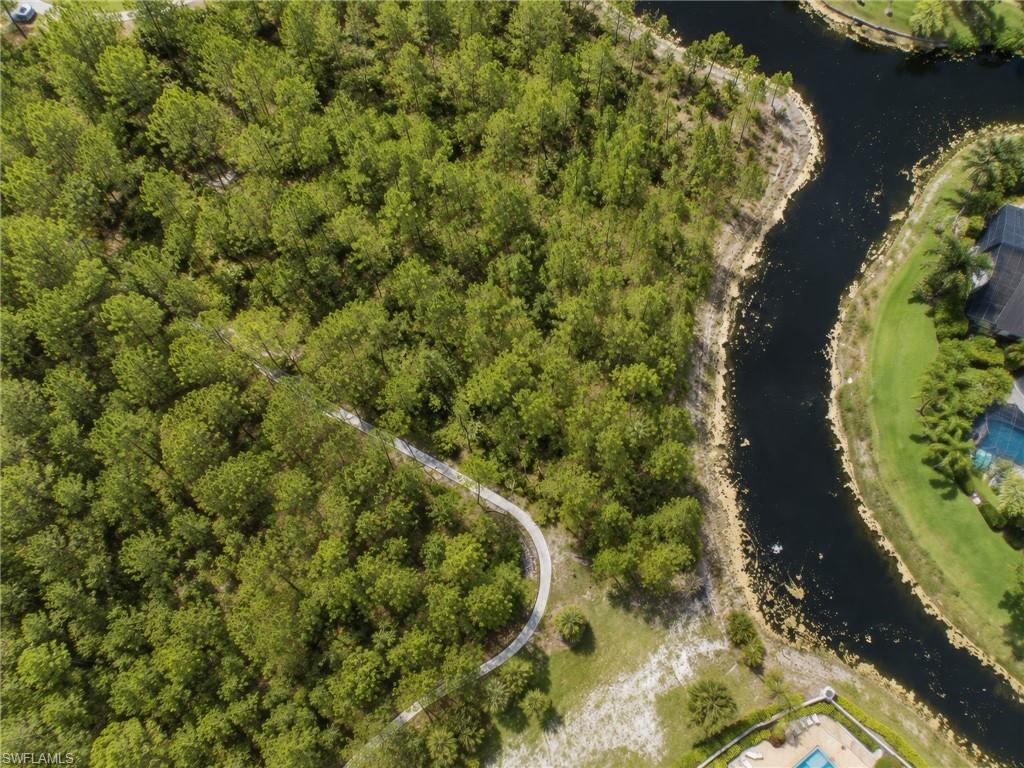 Expansive wooded land parcel featuring a winding pathway