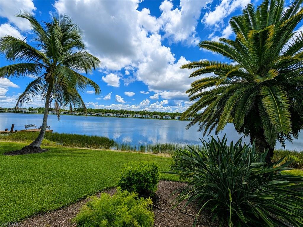 Expansive waterfront setting with a manicured lawn and mature palm trees
