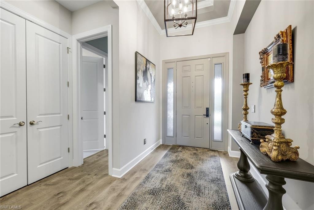 Entryway featuring wood-finish flooring, a tray ceiling, and a paneled front door with frosted sidelights