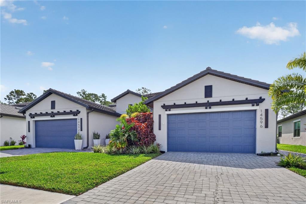 14596 Kingfisher LOOP