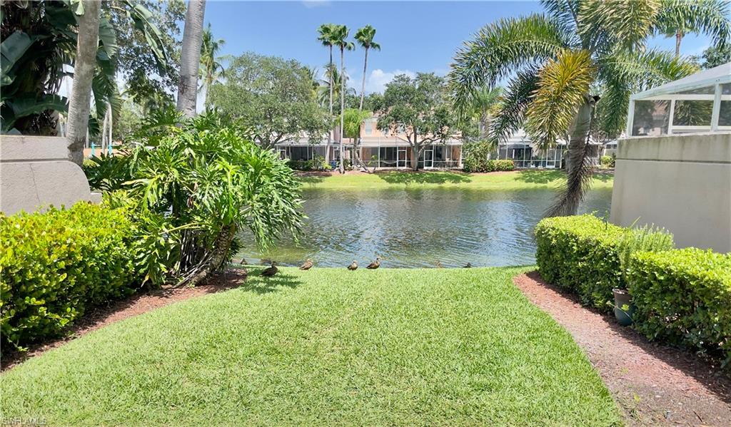 BACKYARD LAKEVIEW
