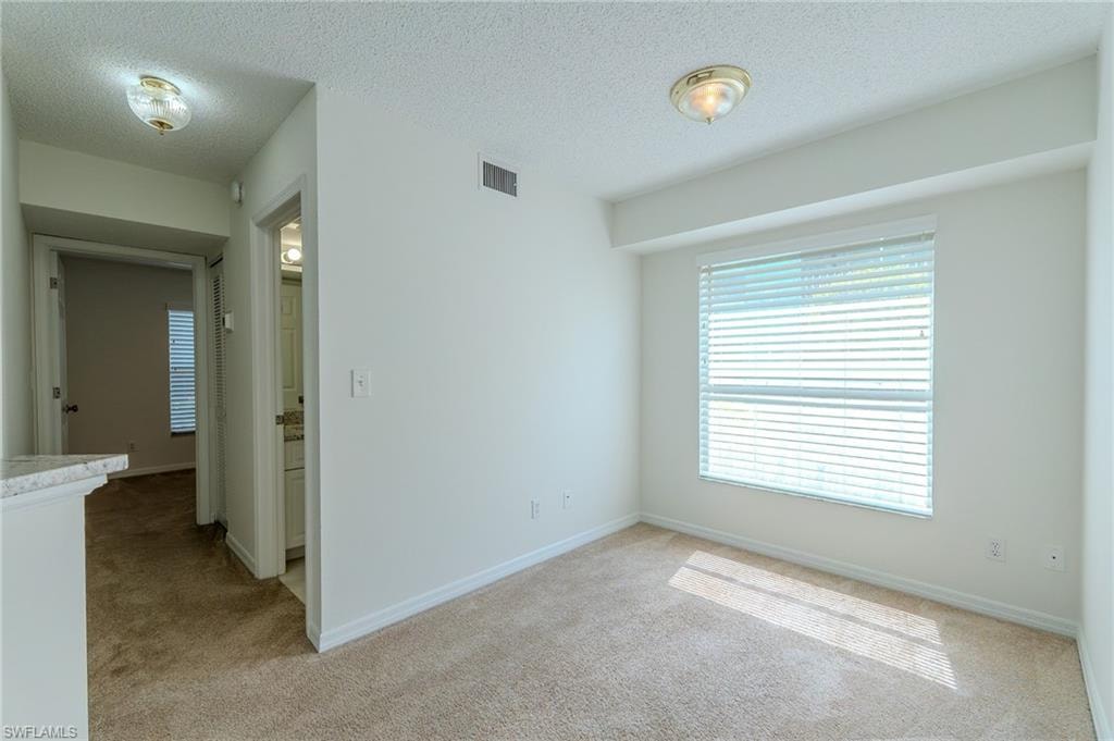 Den/Flex area