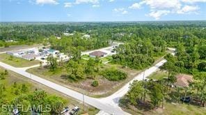 Expansive lot featuring a paved road frontage, surrounded by mature trees and natural landscaping