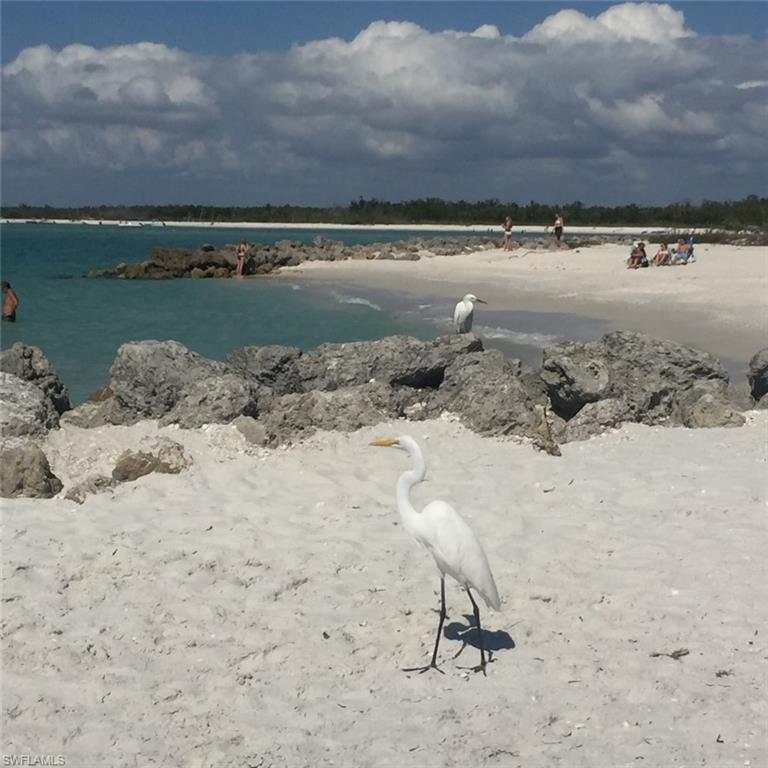 A short walk to the end of Little Hickory Island...full of tropical wildlife!