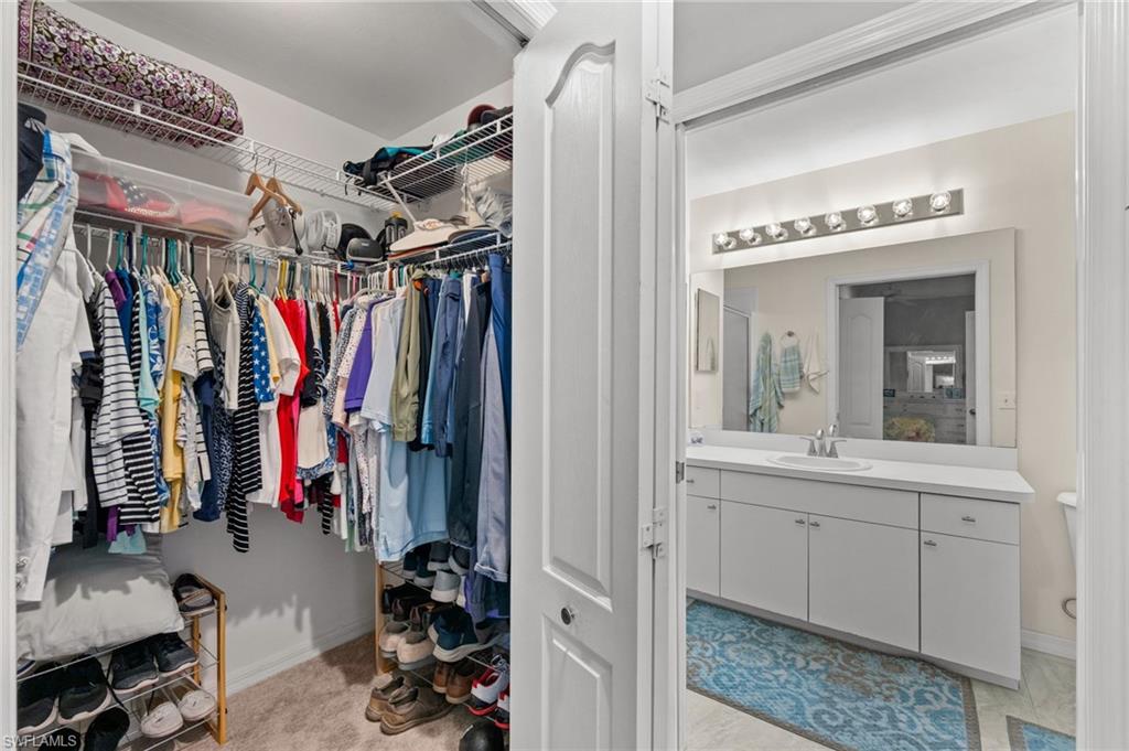 Walk-in closet with wire shelving and carpet flooring