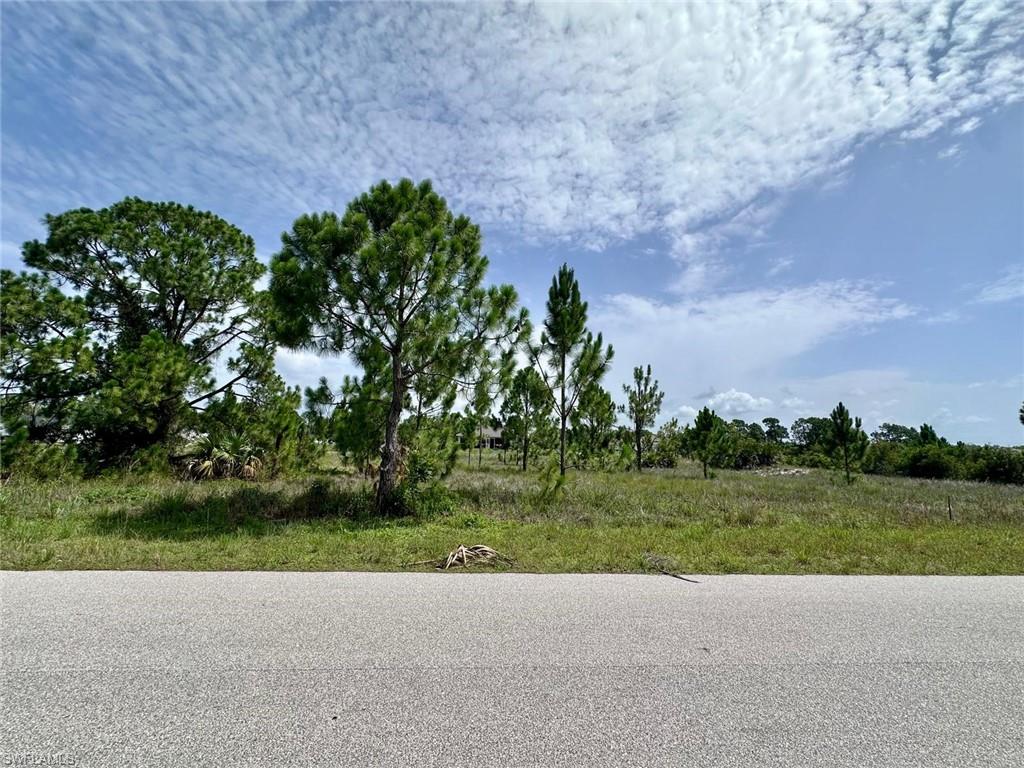 Spacious undeveloped lot featuring mature pine trees and natural vegetation