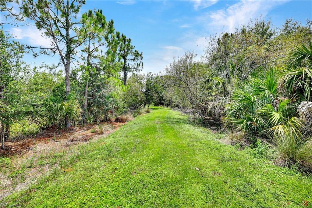 14243 Moonlit WAY photo 23