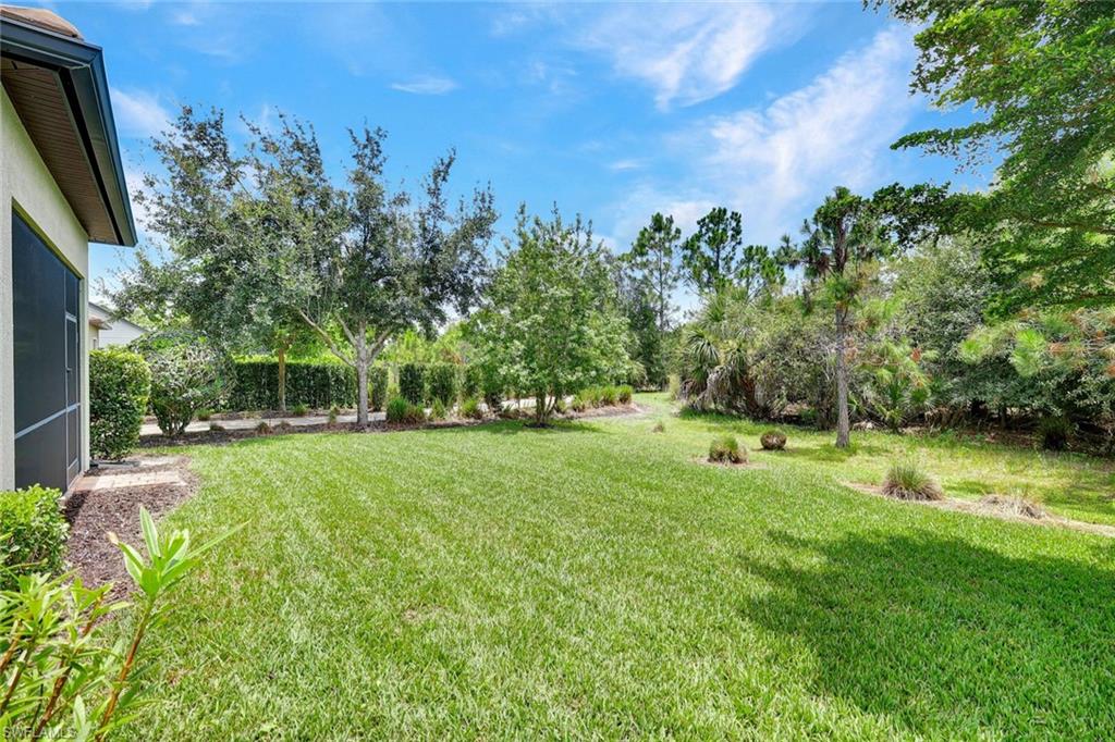 14243 Moonlit WAY photo 21