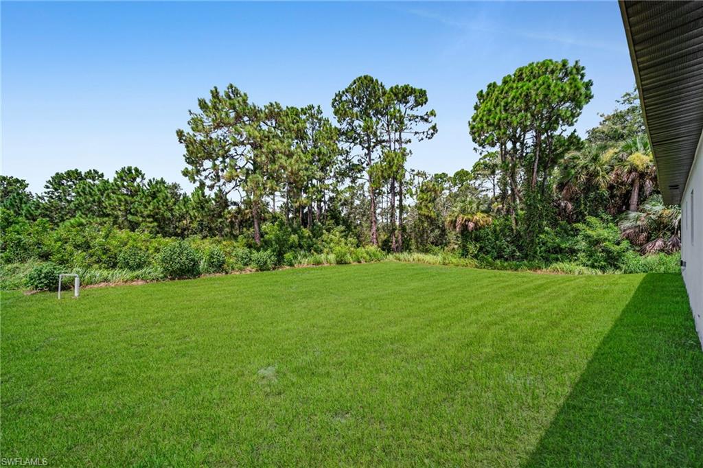 Expansive green lawn with a natural tree line backdrop