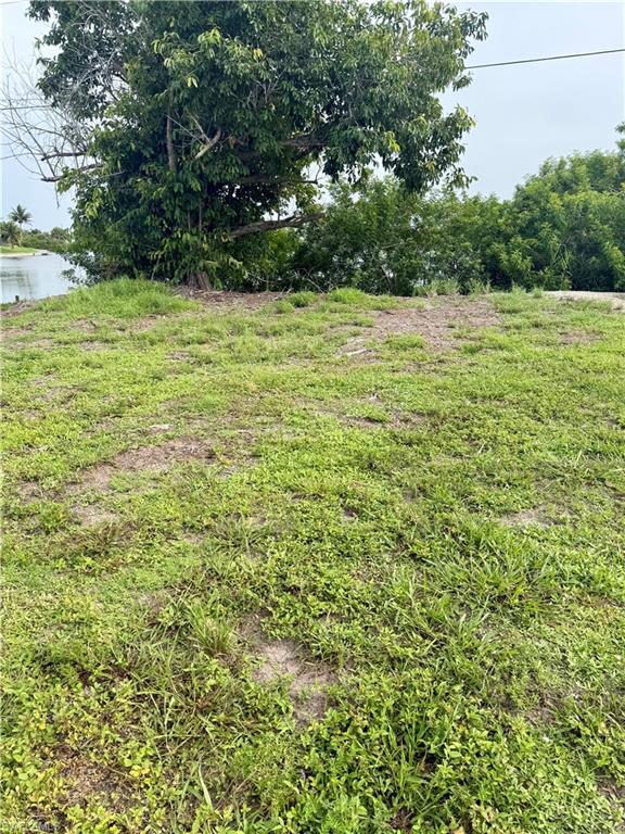 Grassed terrain featuring scattered foliage and a body of water in the background
