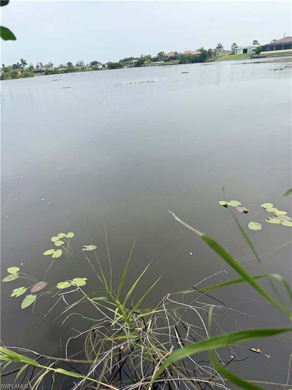 Waterfront property with aquatic vegetation and distant residences