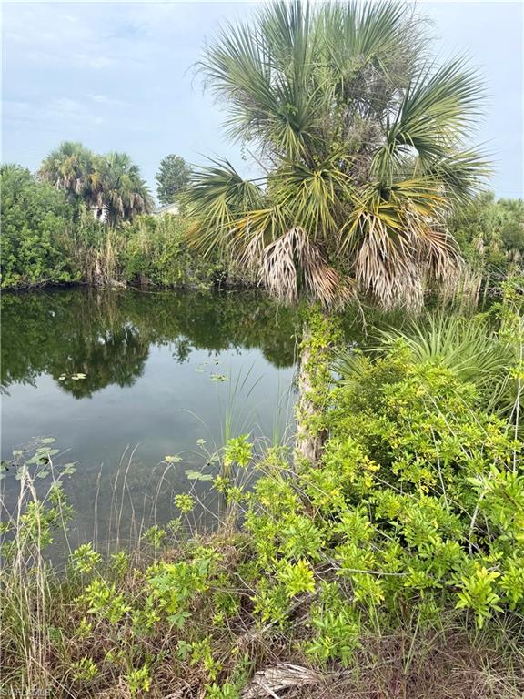 Natural water feature bordered by lush, established tropical foliage and palm trees