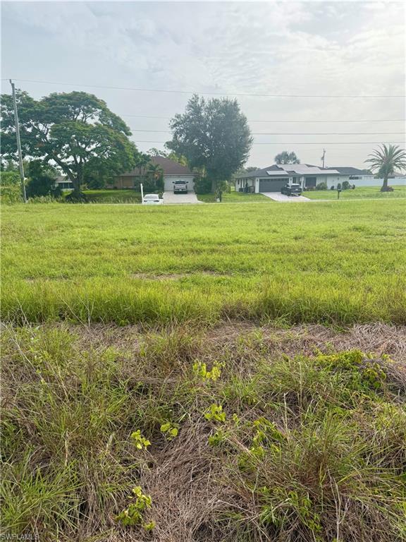 Expansive undeveloped lot featuring natural ground cover