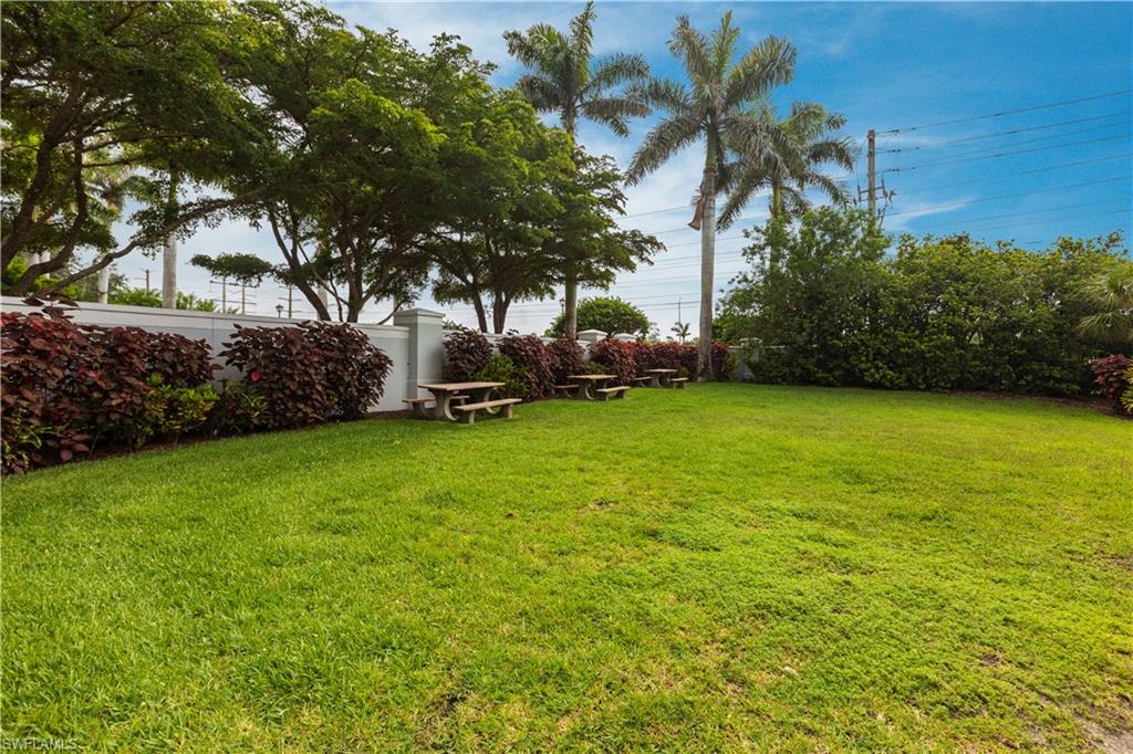 View of grassy yard
