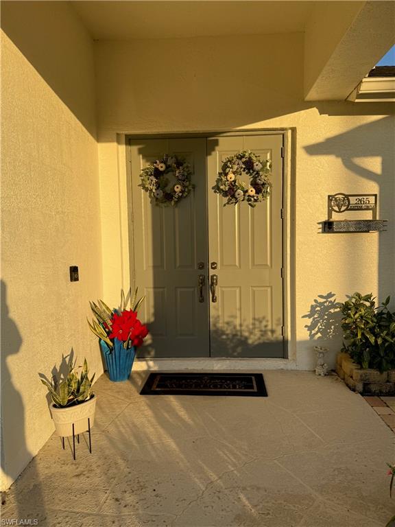 Double entry doors with paneled design