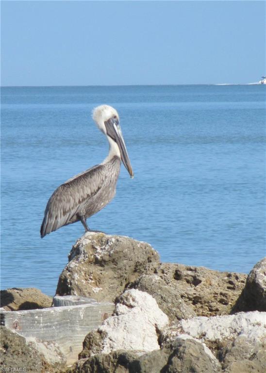Naples beach