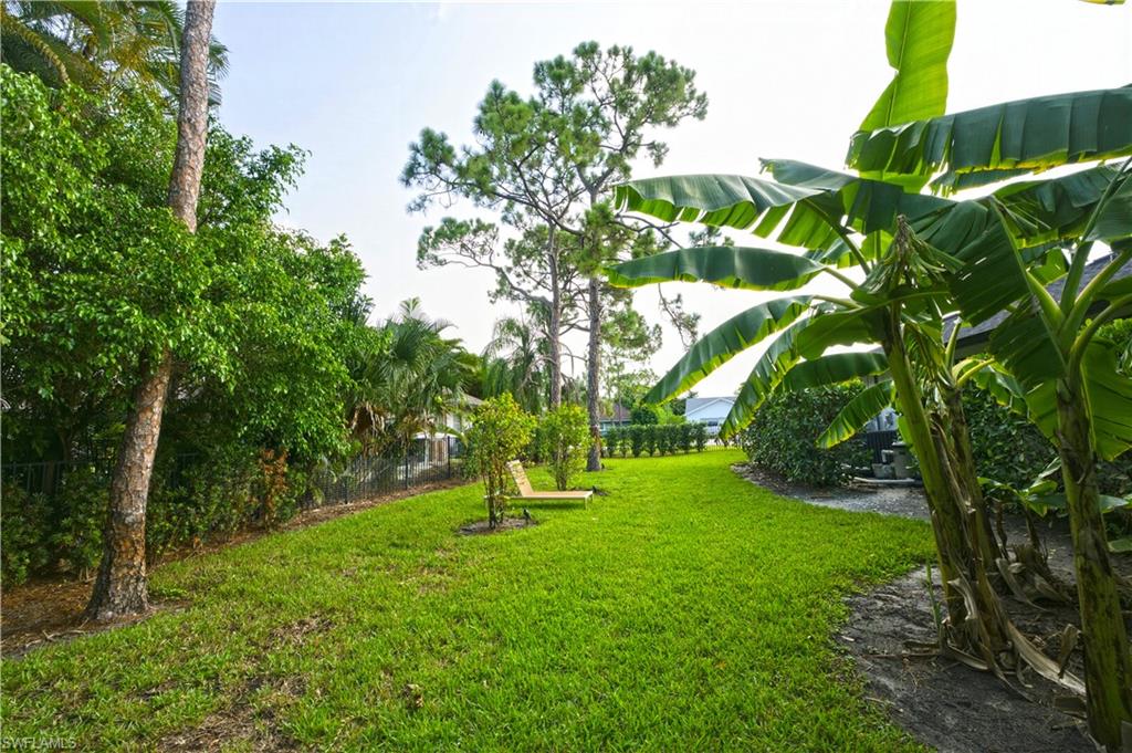fenced yard