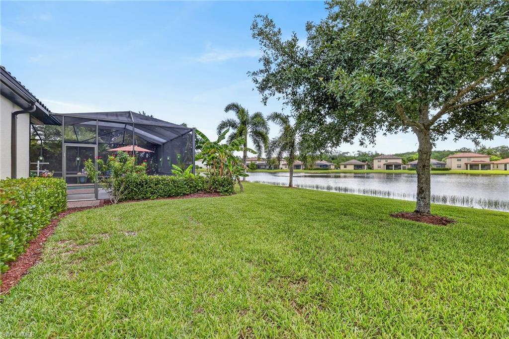 10975 Longwing DR photo 43