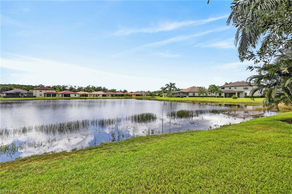 10975 Longwing DR photo 45