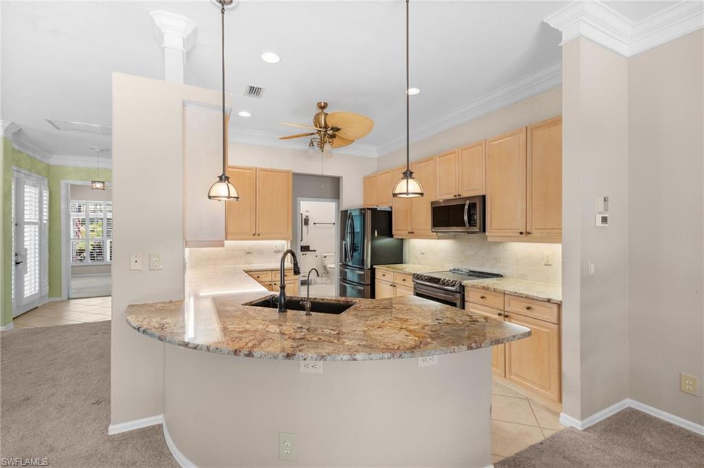 3840 Jungle Plum DR E photo 20