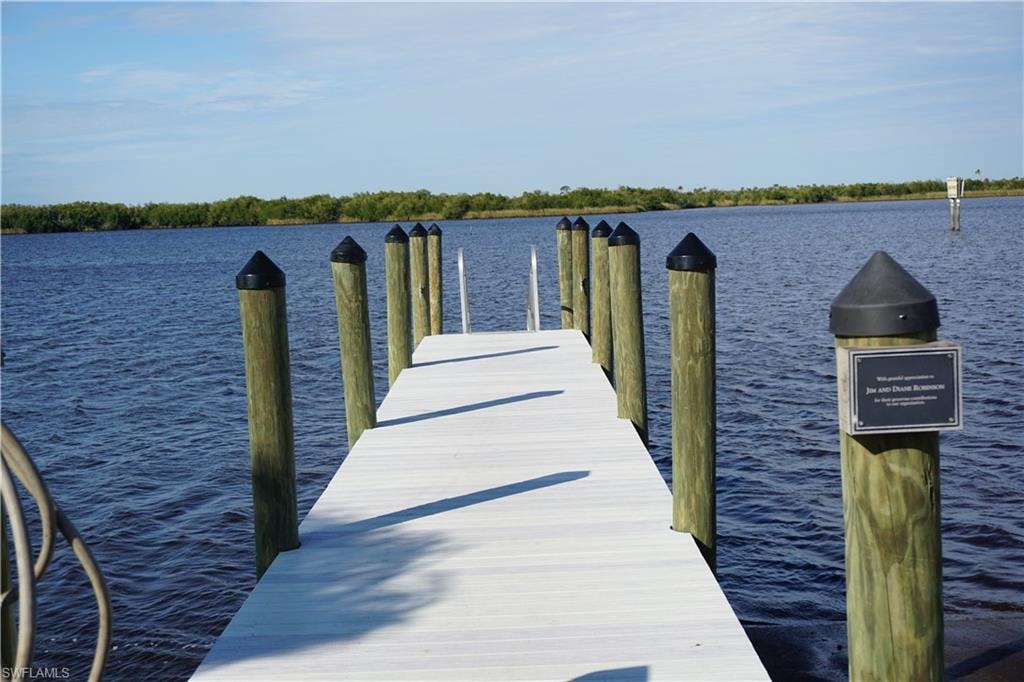 Community private  dock/park area for members