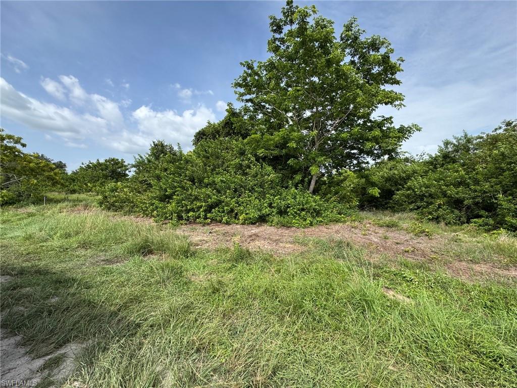 Expansive land parcel featuring natural foliage and mature trees