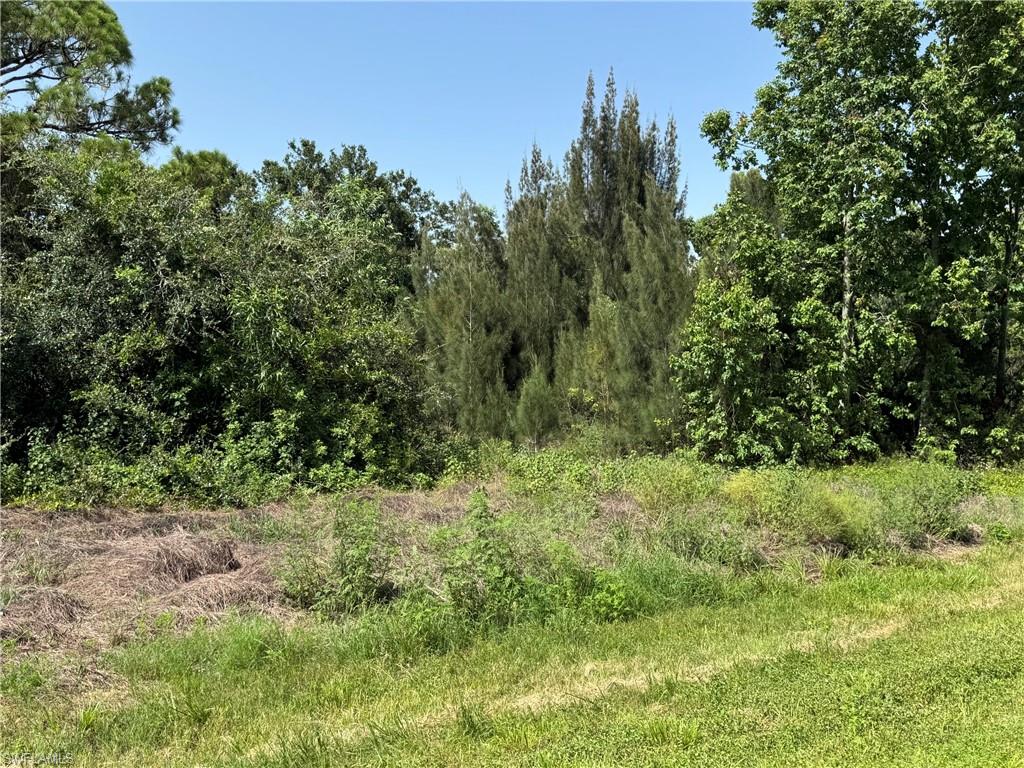 Expansive land parcel featuring dense perimeter foliage and a central clearing