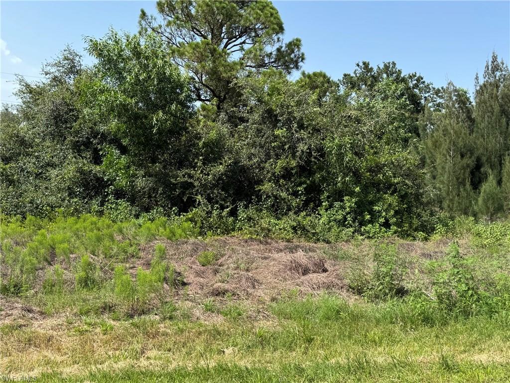 Natural landscape featuring varied green foliage and mature trees under a clear sky