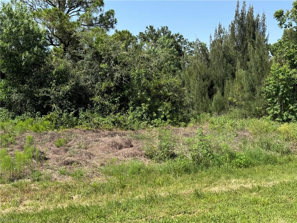 Expansive parcel featuring mature trees and natural vegetation