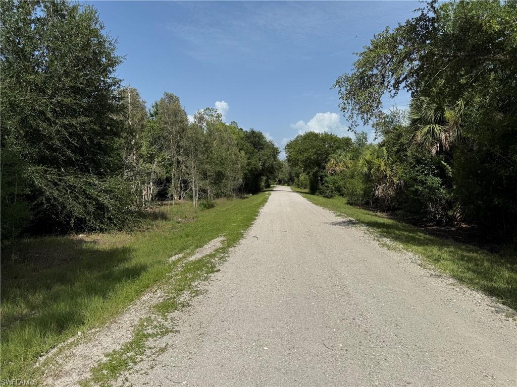 Elongated gravel pathway bordered by natural vegetation and mature trees
