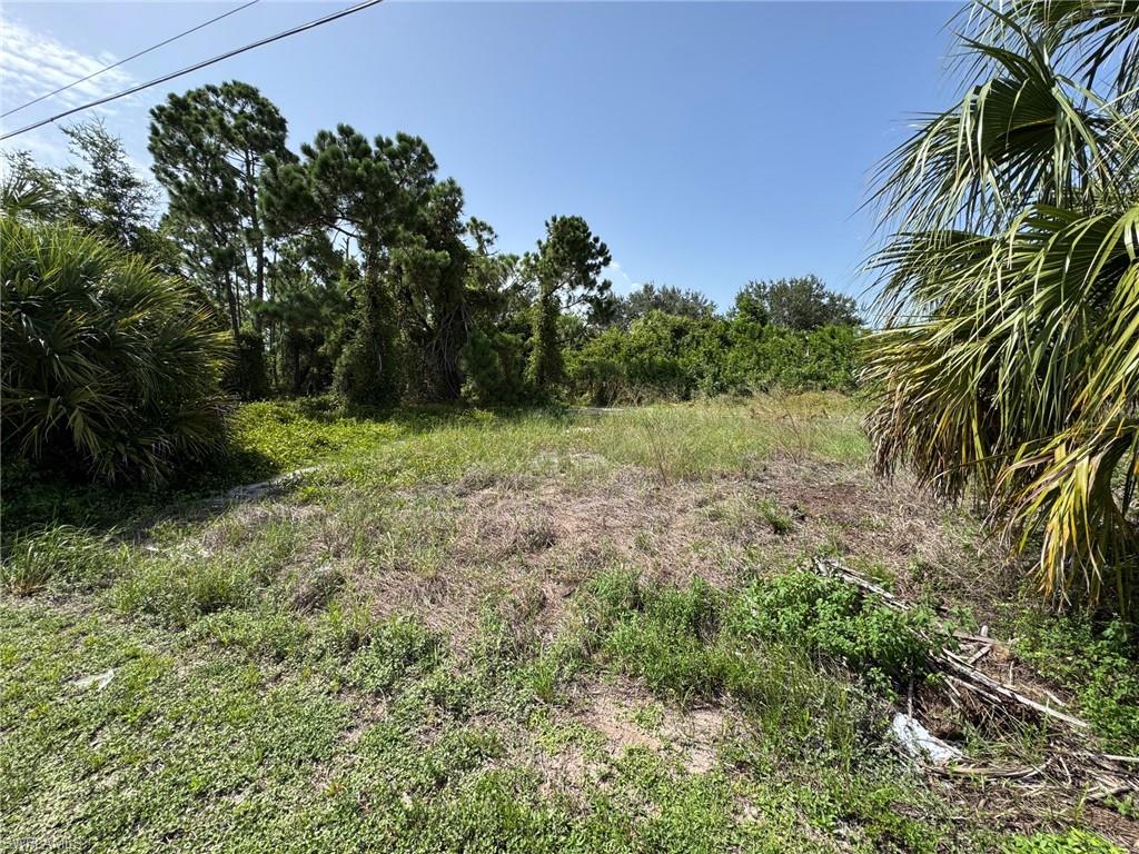 26492 Angelica RD